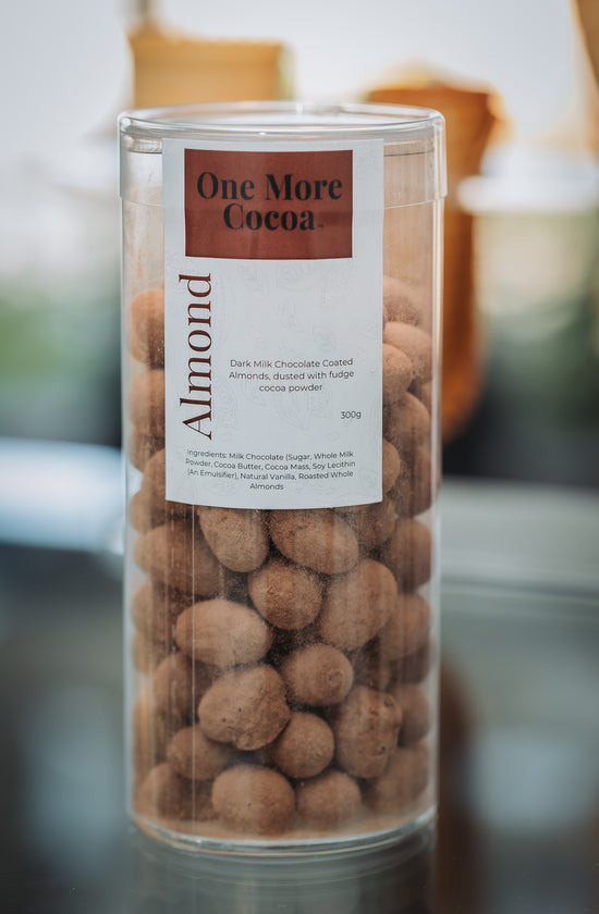 Chocolate Covered Almonds