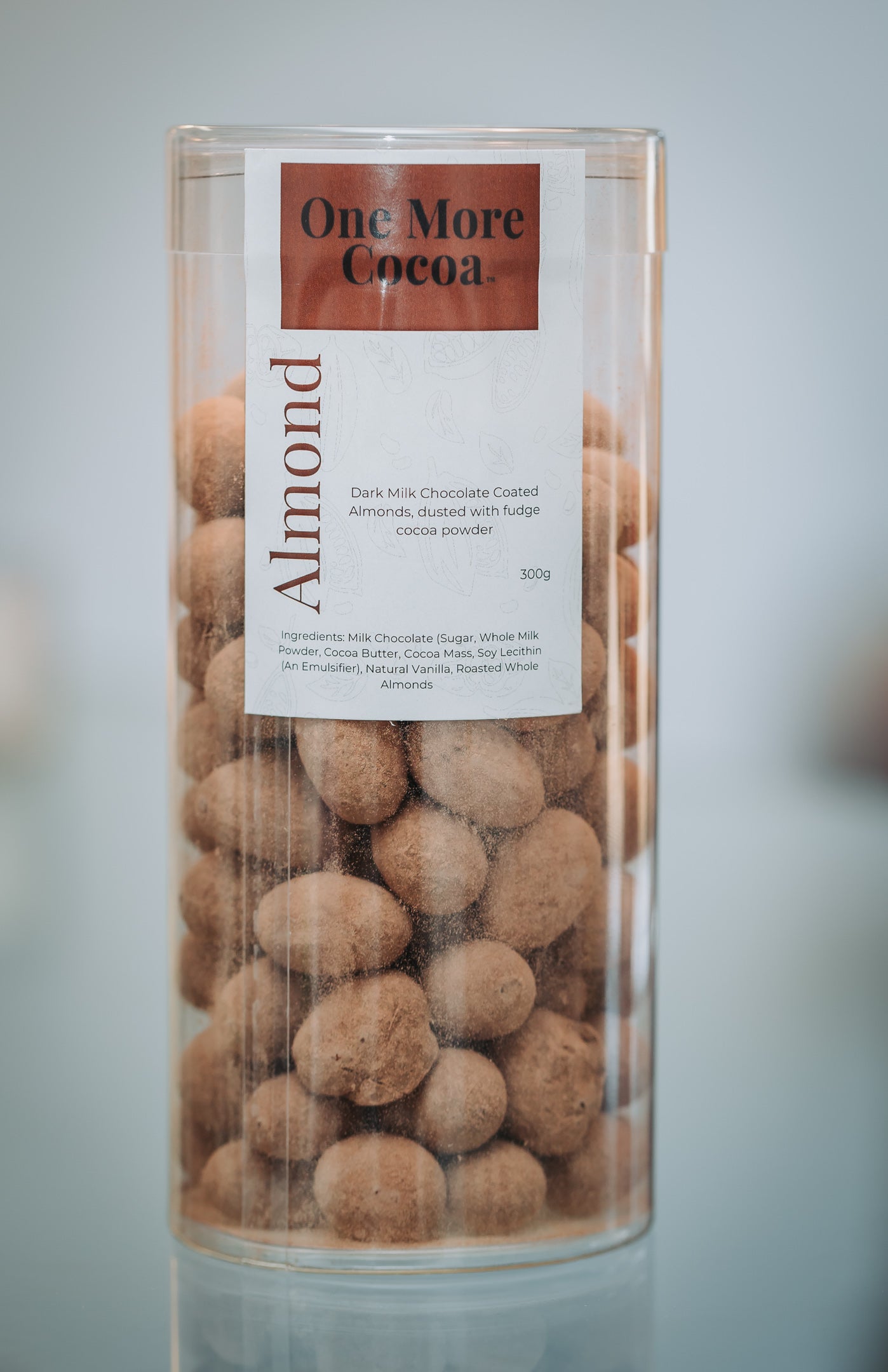 Chocolate Covered Almonds